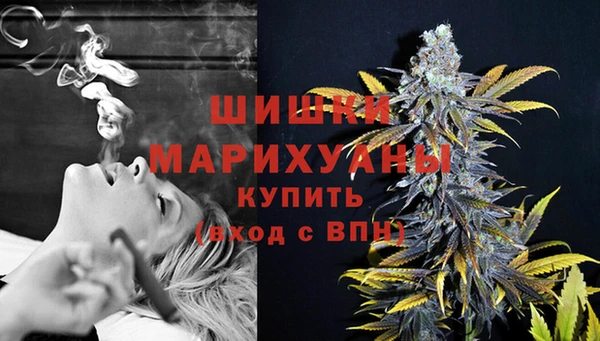 гидра Снежинск