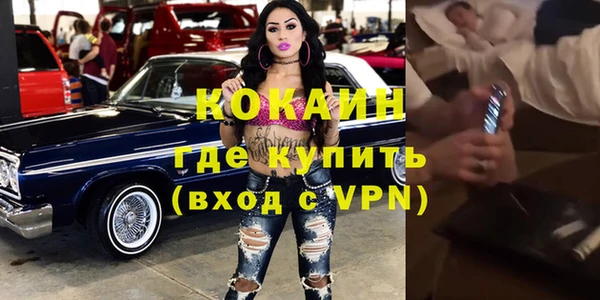 стаф Алзамай