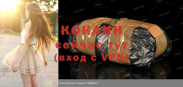 стаф Алзамай