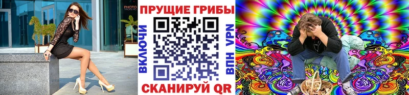 хочу   Харовск  Галлюциногенные грибы Psilocybine cubensis 